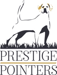 Prestige Pointners